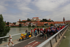 228-IMG_8364
