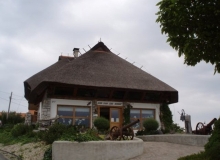 27-P6020224_800x600