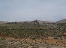 P4300355