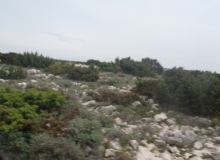 P4300376