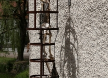 43-IMG_5575