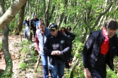 Goriska 2016 (22)