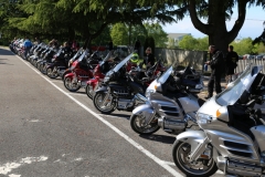 Goriska 2016 (50)