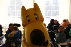 117-IMG_7973
