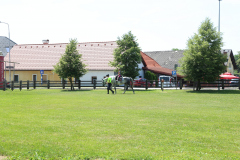 49-IMG_4243