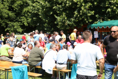 50-IMG_4247