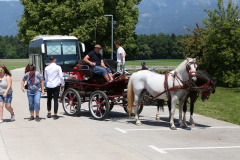 71-IMG_4390