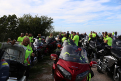 35-IMG_4785